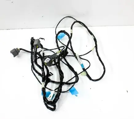 Tesla Model S Other wiring loom 100531100H