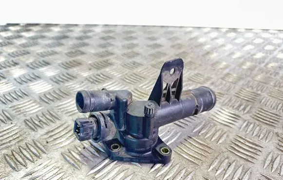 Thermostat/thermostat housing