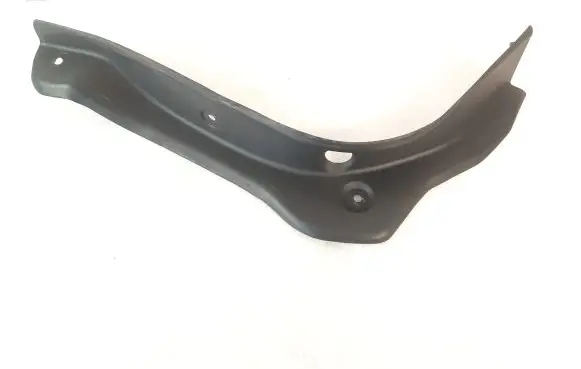 Rear/tail light trim molding