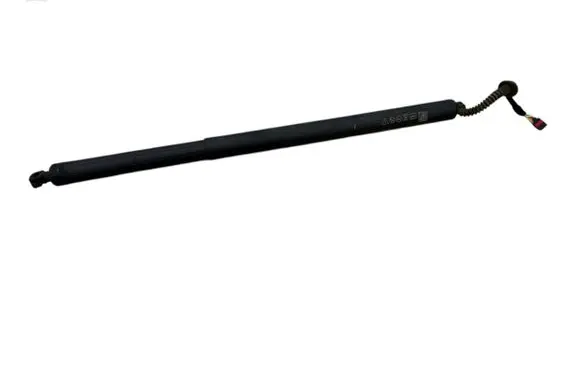Tailgate strut