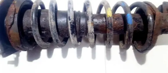 Front coil spring