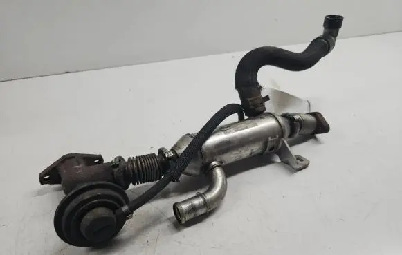 Peugeot 406 EGR valve