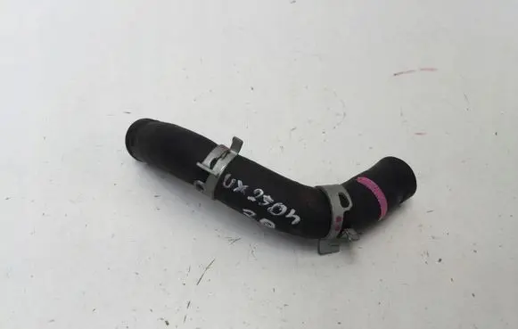 Lexus UX Engine coolant pipe/hose