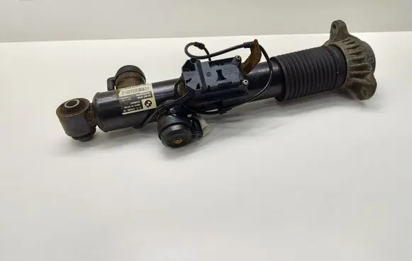 Rear shock absorber/damper