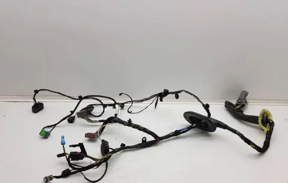 Front door wiring loom