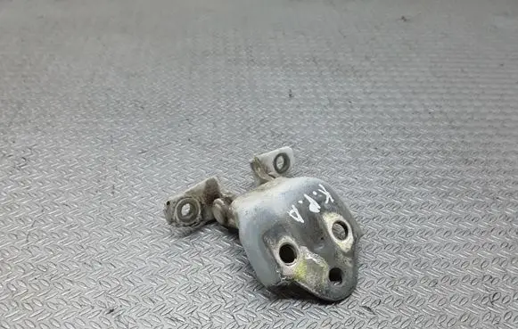 Mitsubishi Pajero Sport I Front door lower hinge 