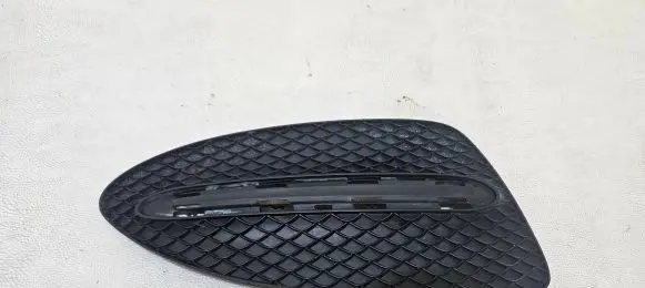 Mercedes-Benz B W246 W242 Front bumper lower grill A2468852822