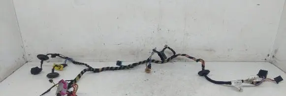 Front door wiring loom