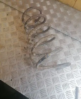 Renault Scenic I Front coil spring