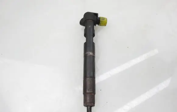Mercedes-Benz Sprinter W906 Fuel injector 6510704987 28342997