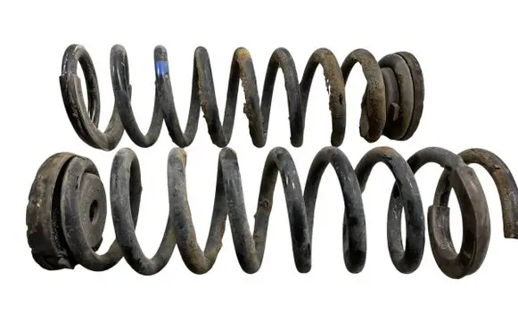 Rear coil spring