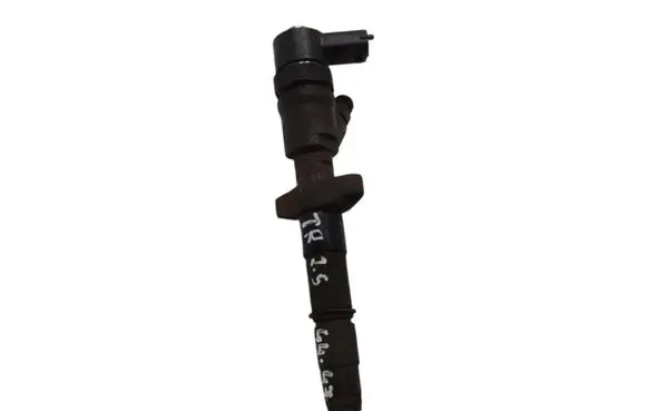 Renault Kangoo II Fuel injector 0445110265