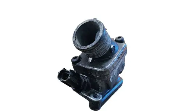 Thermostat/thermostat housing