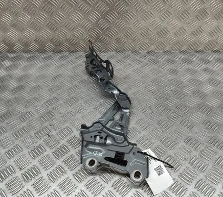 BMW X2 U10 Engine bonnet/hood hinges 9883418
