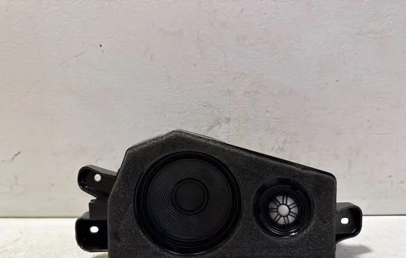 BMW X6 F16 Rear door speaker 9354325 70721 18353410