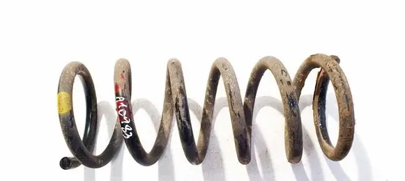 Chevrolet Captiva Rear coil spring 