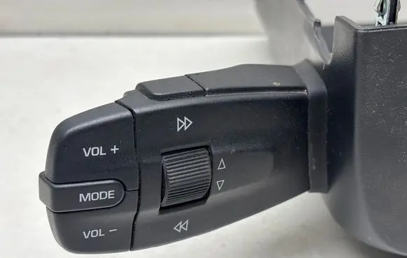 Multifunctional control switch/knob