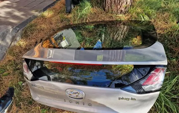 Hyundai Ioniq Tailgate/trunk/boot lid 73700G2000