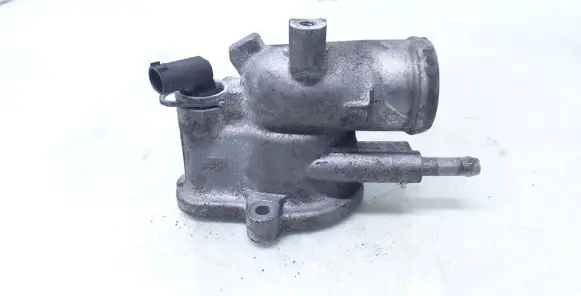 Thermostat/thermostat housing