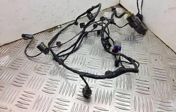 Ford Ecosport Parking sensor (PDC) wiring loom 