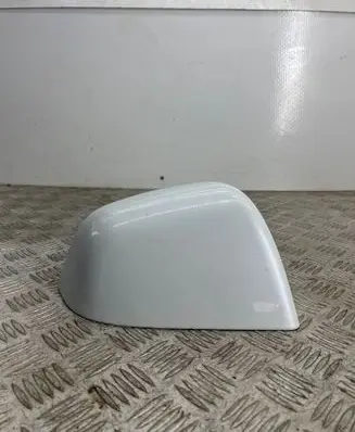 Tesla Model Y Plastic wing mirror trim cover 1495594