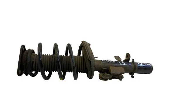 Ford Kuga II Front shock absorber with coil spring CV6118045ACB