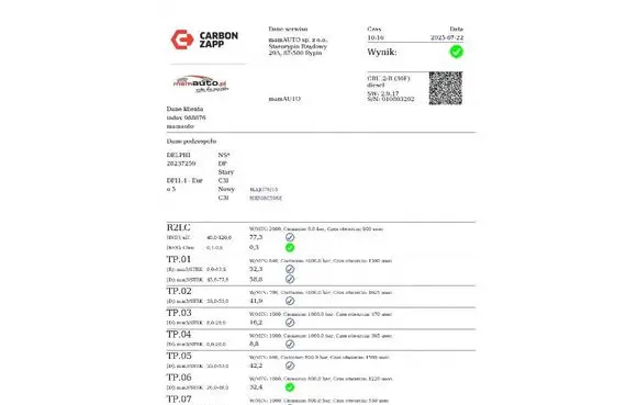 Renault Megane III Fuel injector 166000897R