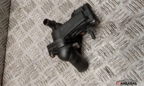 Thermostat/thermostat housing