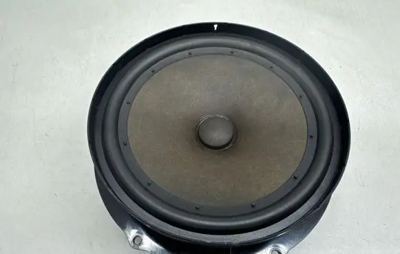 Volkswagen Golf V Front door speaker