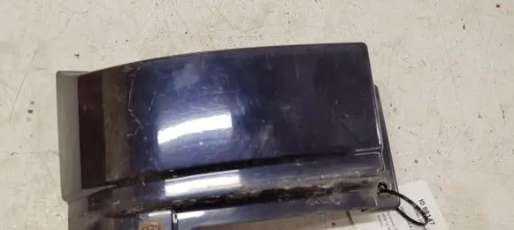 Rear/tail light trim molding