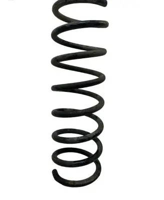 Ford Focus Rear coil spring