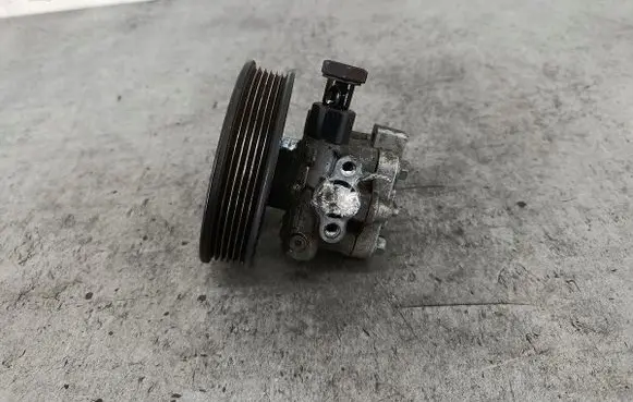 KIA Carens I Power steering pump 571002G000