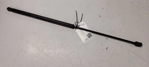 Front bonnet/hood damper/strut