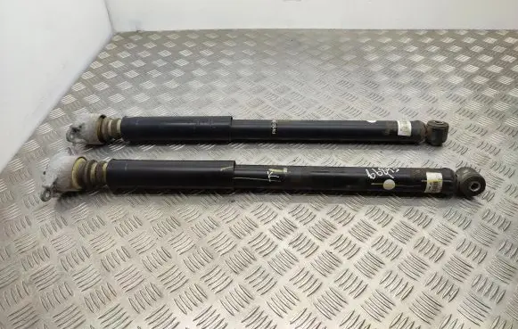 Ford Ecosport Rear shock absorber/damper FN1C18097BB