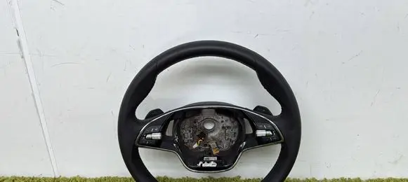 Skoda Octavia Mk4 Steering wheel 5e3419093ap
