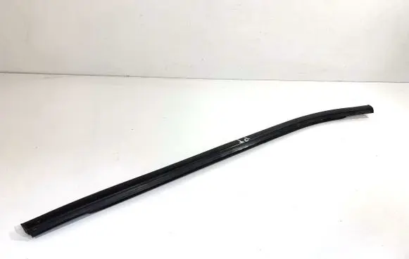 Ford Fiesta Rear door glass trim molding 