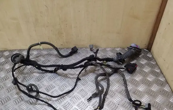 Opel Insignia A Front door wiring loom