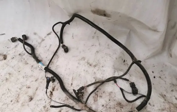 Renault Laguna III Parking sensor (PDC) wiring loom 20103467 00163300