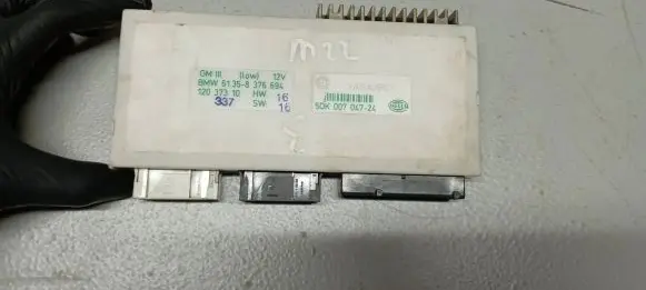 BMW 5 E39 Other control units/modules 61358376694 5DK00704724 12037310