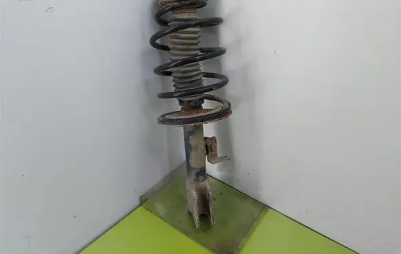 Peugeot 307 Front shock absorber with coil spring 