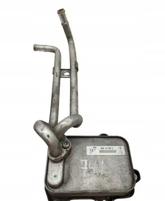 Volkswagen PASSAT B7 Engine oil radiator 03C117021J