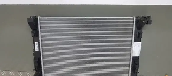 Renault Clio V Coolant radiator 214105FA0AT