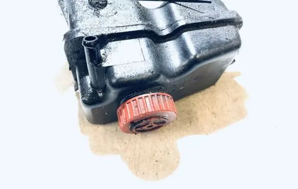 Peugeot 406 Power steering fluid tank/reservoir 9632380280