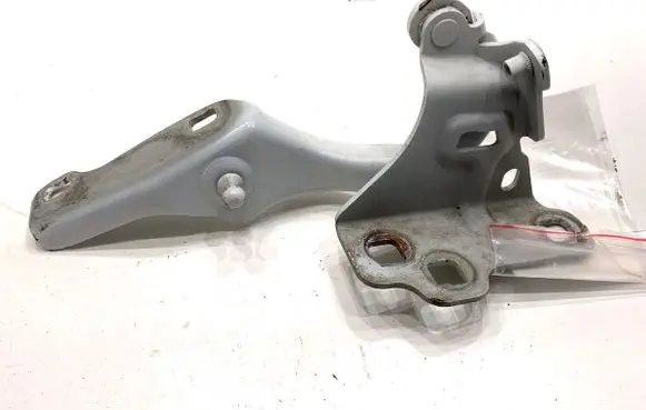 Renault Trafic III (X82) Engine bonnet/hood hinges 