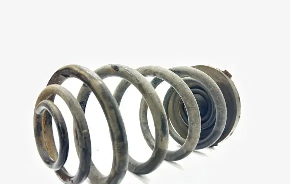 Renault Trafic II (X83) Rear coil spring