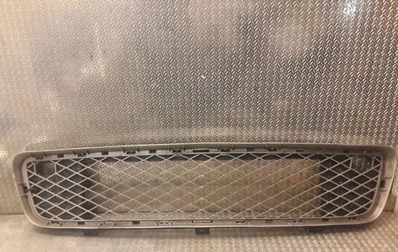 BMW X5 E70 Front grill