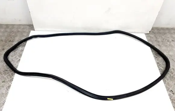 Volkswagen PASSAT B7 USA Front door rubber seal 561867911
