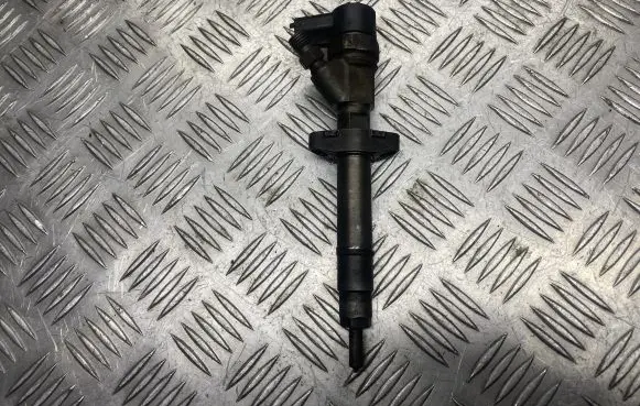 Renault Espace - Grand espace IV Fuel injector 8200084534