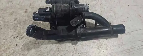 Thermostat/thermostat housing