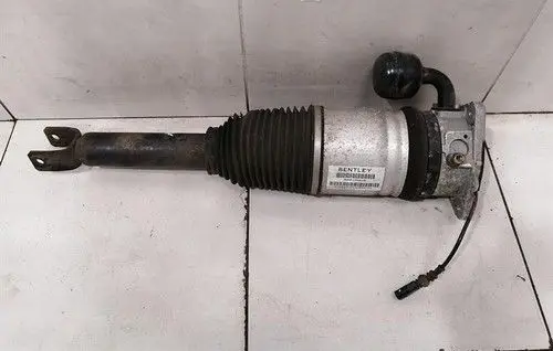 Bentley Continental Rear shock absorber with coil spring 3W0616001B